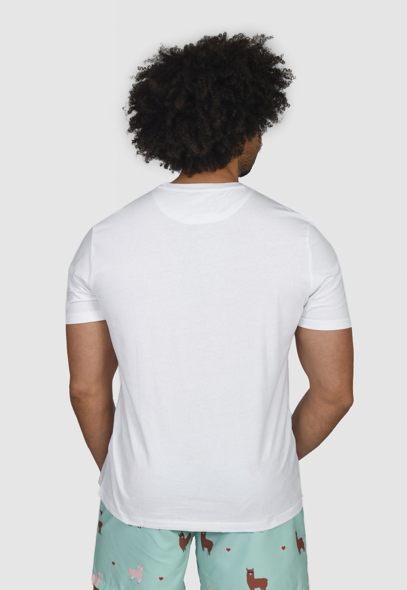 Alpaca-T-Shirt