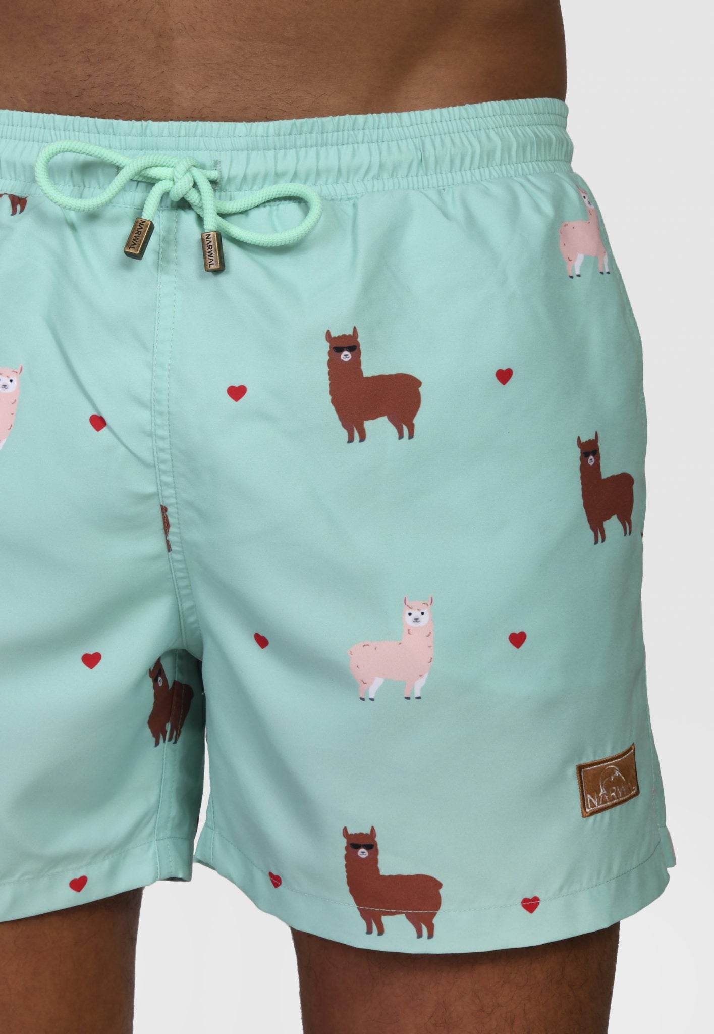 Alpaca Father & Son Swim Trunks Bundle